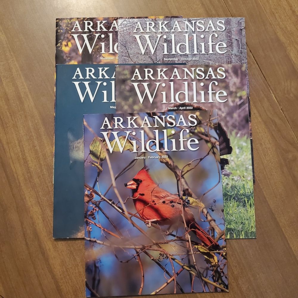 Lot Of 5 Arkansas Wildlife Magazine 2022 Whole Year